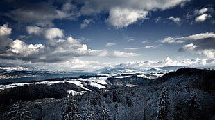 snow covering mountain tops and green tall trees photo HD wallpaper